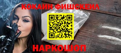 шишки Камышлов