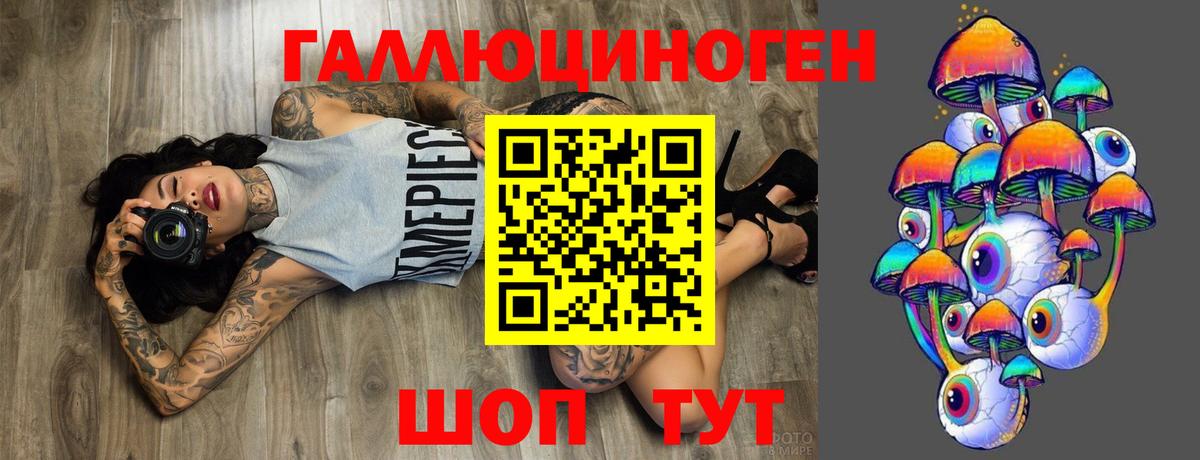 Галлюциногенные грибы Psilocybine cubensis Карабулак