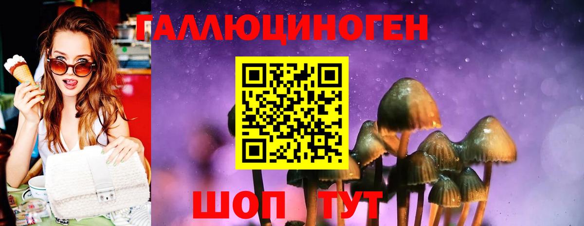Псилоцибиновые грибы Psilocybe  Вход с VPN  Карабулак  Псилоцибиновые грибы Cubensis 